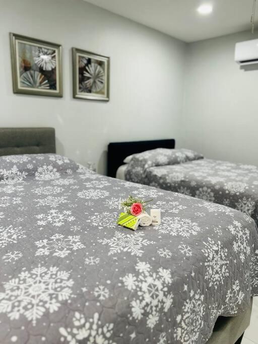 Grey Novo Studio + Free-Parking&Wifi 탬파 외부 사진